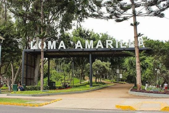 Departamentos cerca al Parque Ecológico Loma Amarilla: vive mejor rodeado de naturaleza en Surco 